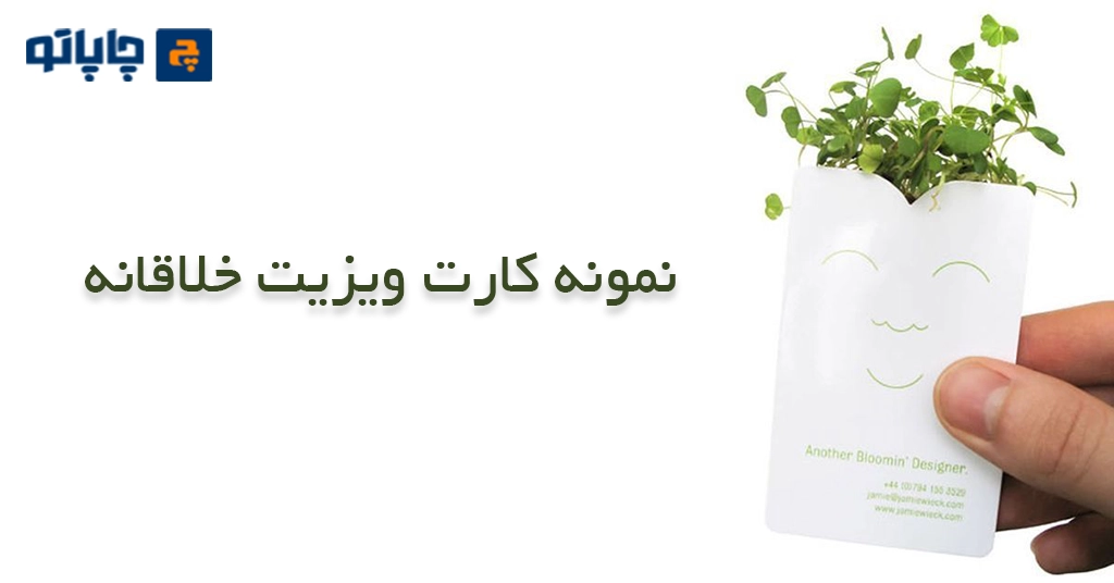 ایده کارت ویزیت خلاقانه با یک گیاه کوچک به عنوان هدیه